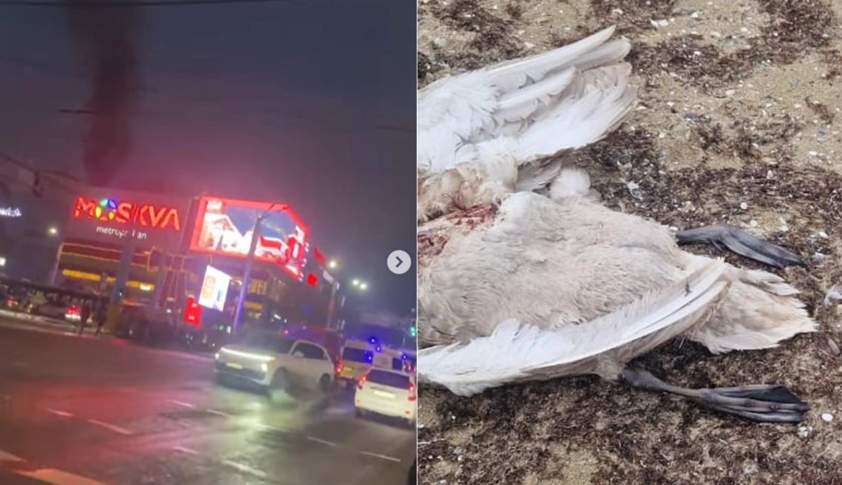 Коллаж: ИА New Times.kz