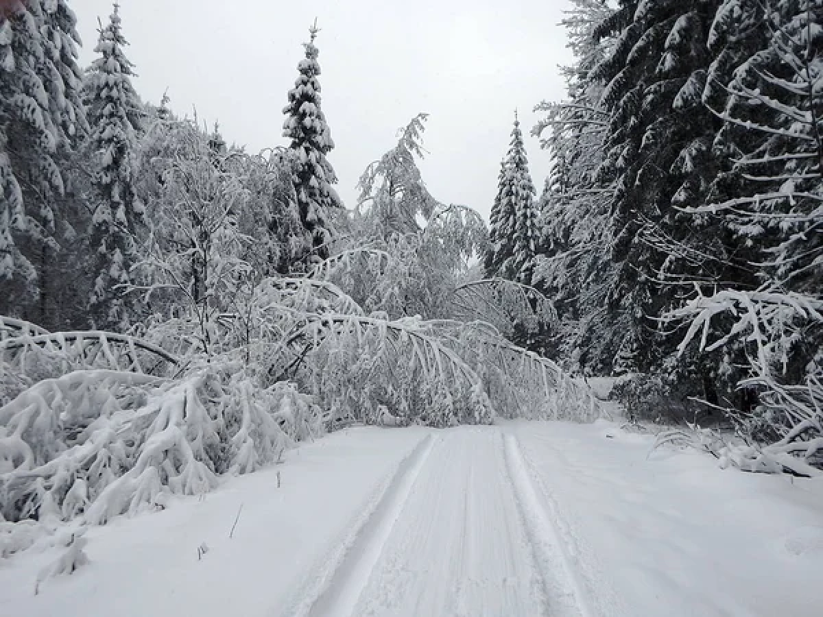 Фото: depositphotos