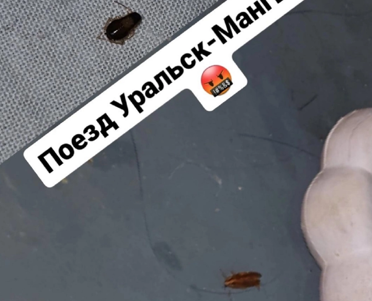 Фото: mamochki_aktau_ryadom_new/Instagram