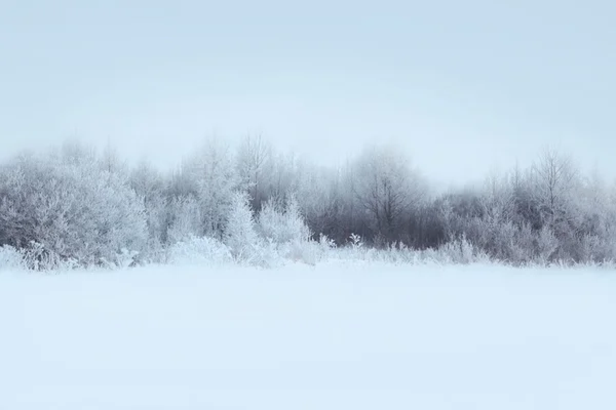 Фото: depositphotos