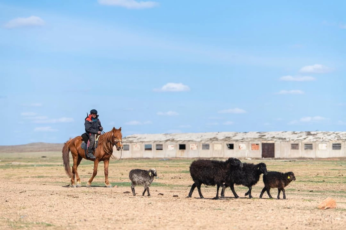 Фото: Instagram.com/ospanali