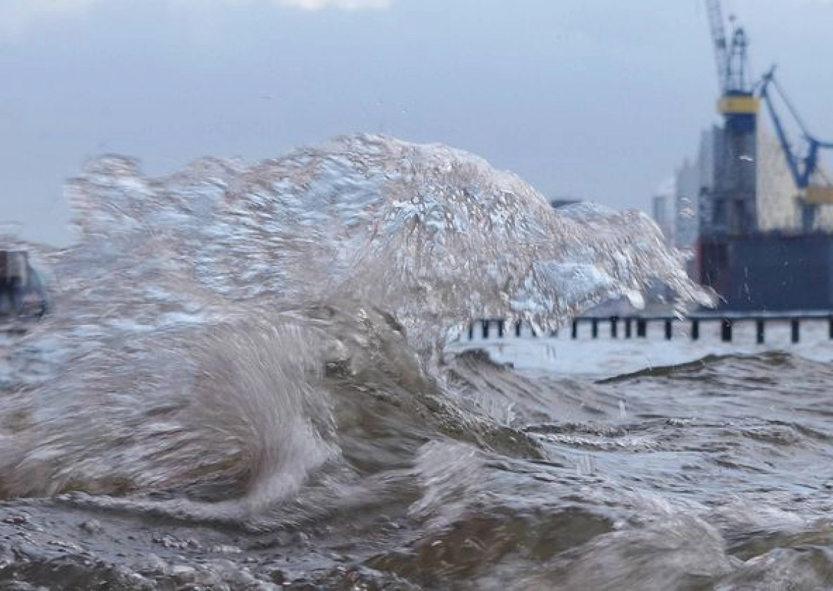 Фото: Markus Tischler/Global Look Press