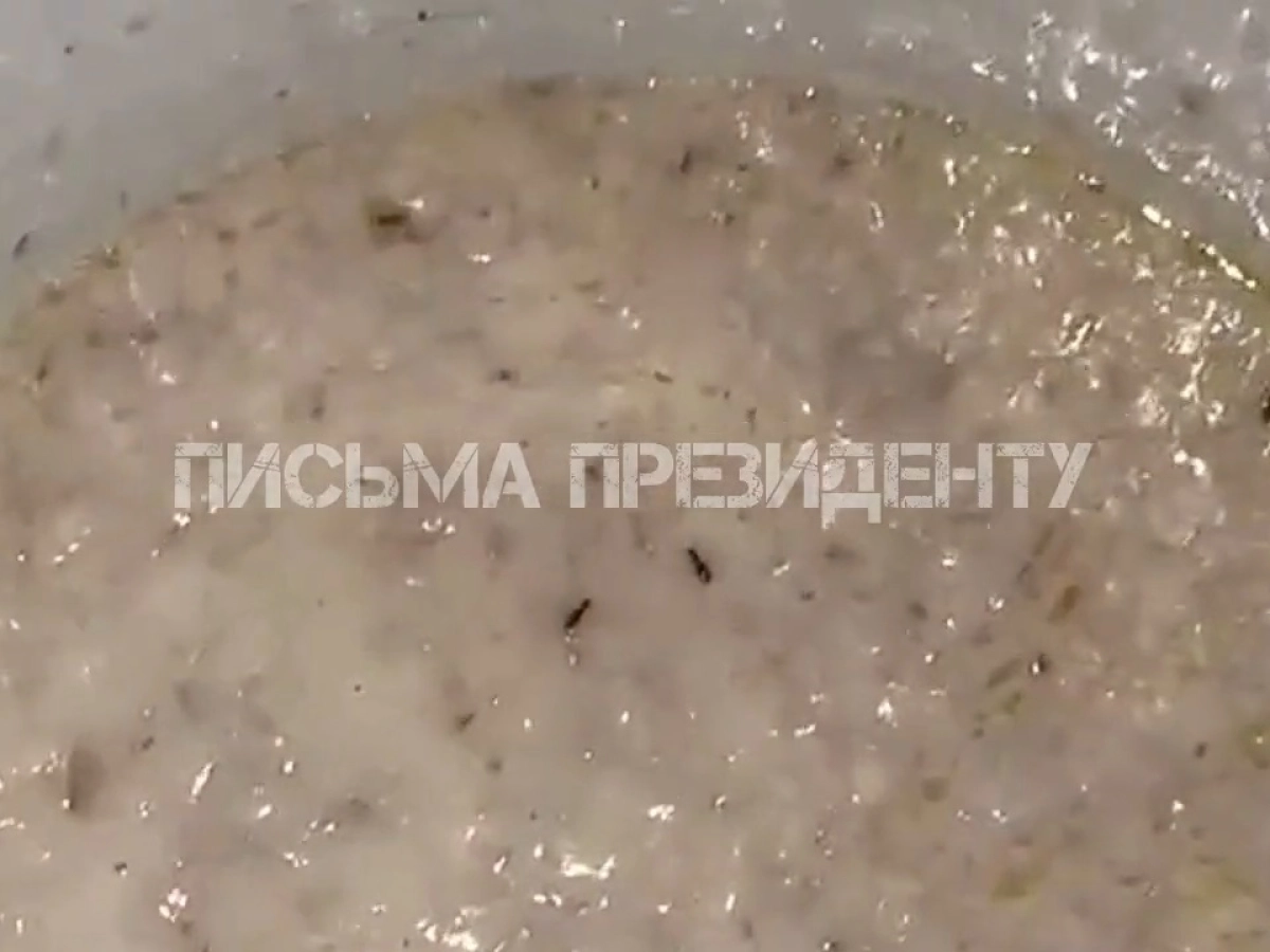 Кадр видео