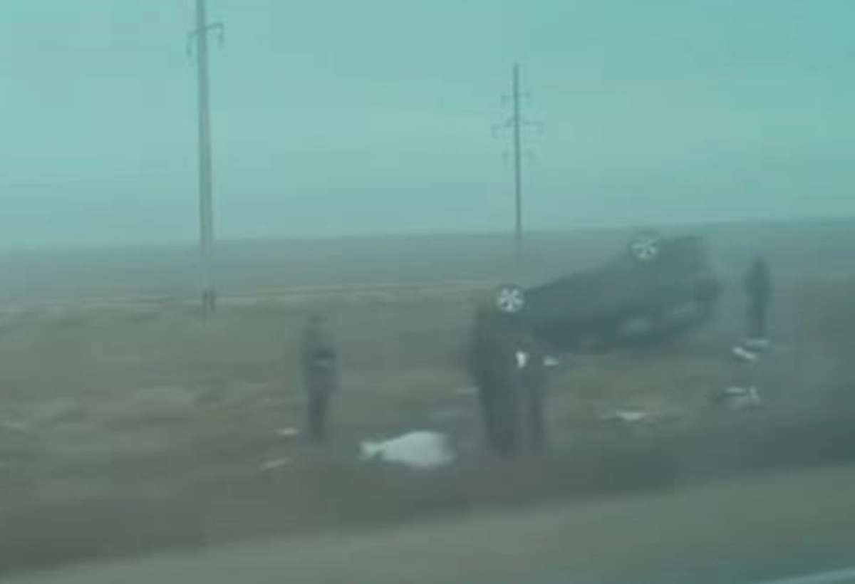 Фото: скриншот видео