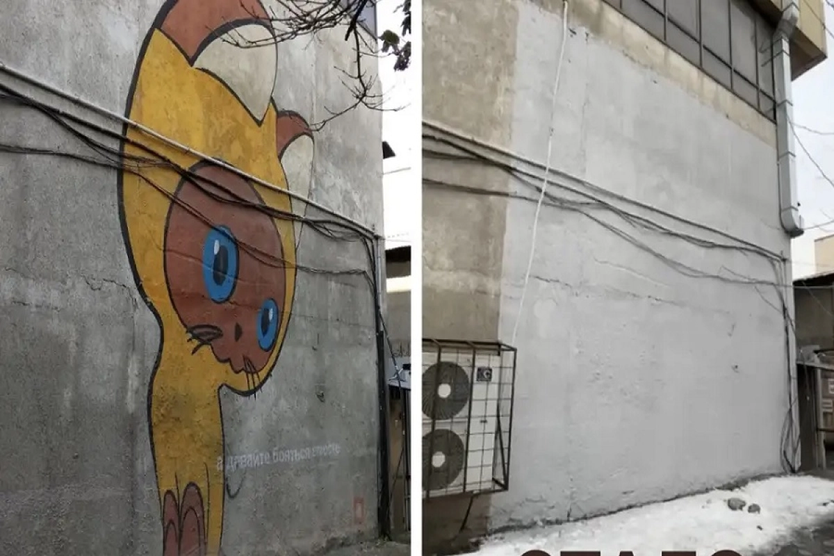 Фото: Instagram/damiralayev