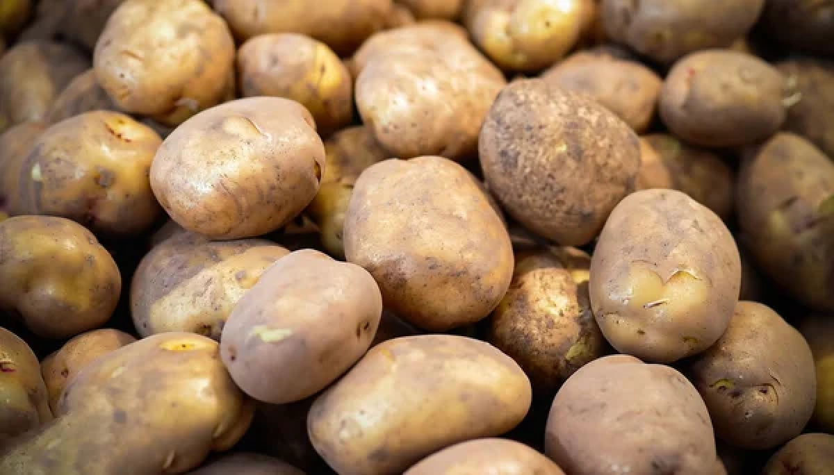 Фото: depositphotos