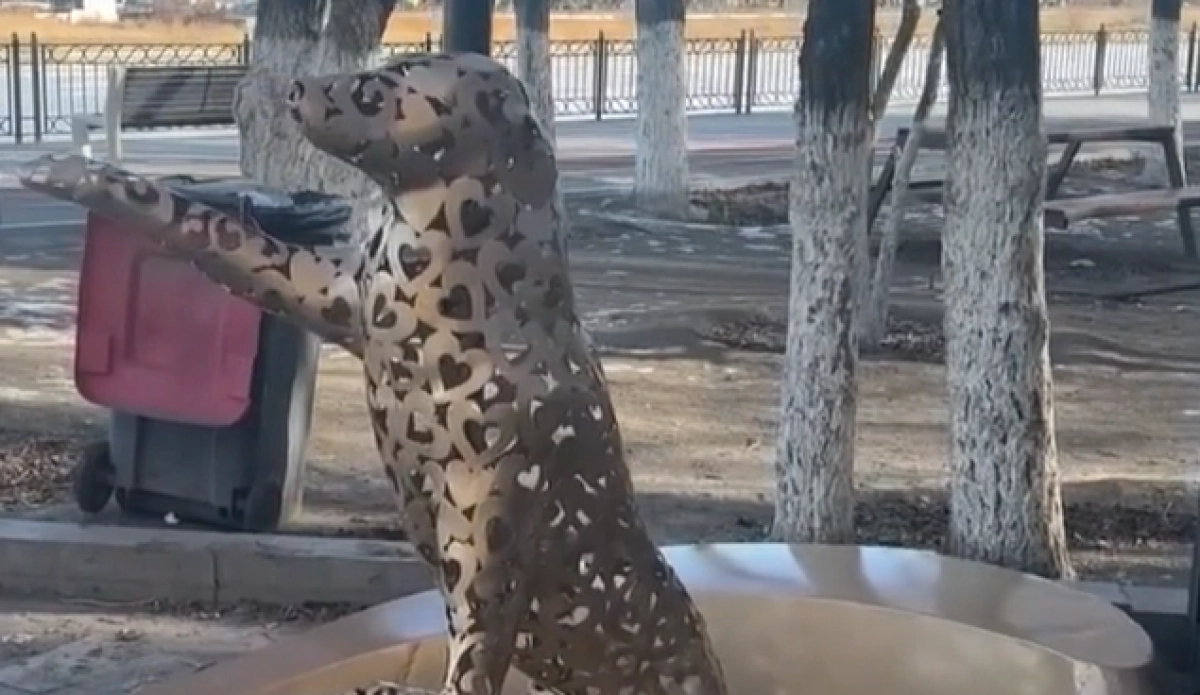 Фото: скриншот видео