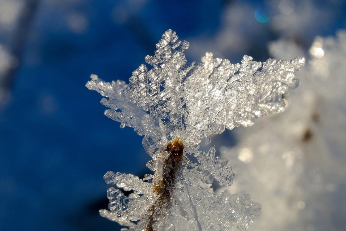 Фото: pixabay