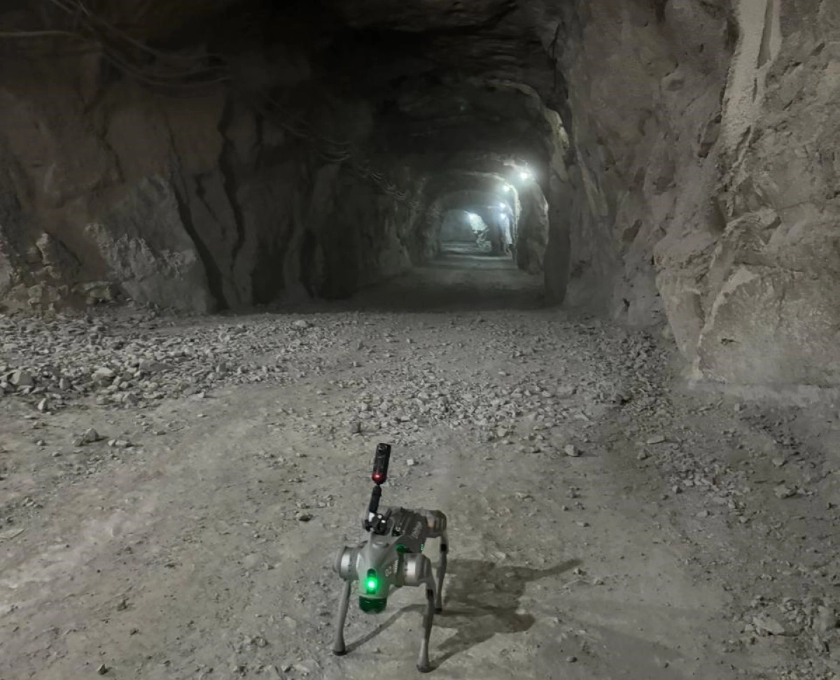 Фото: Дарина Мамырова