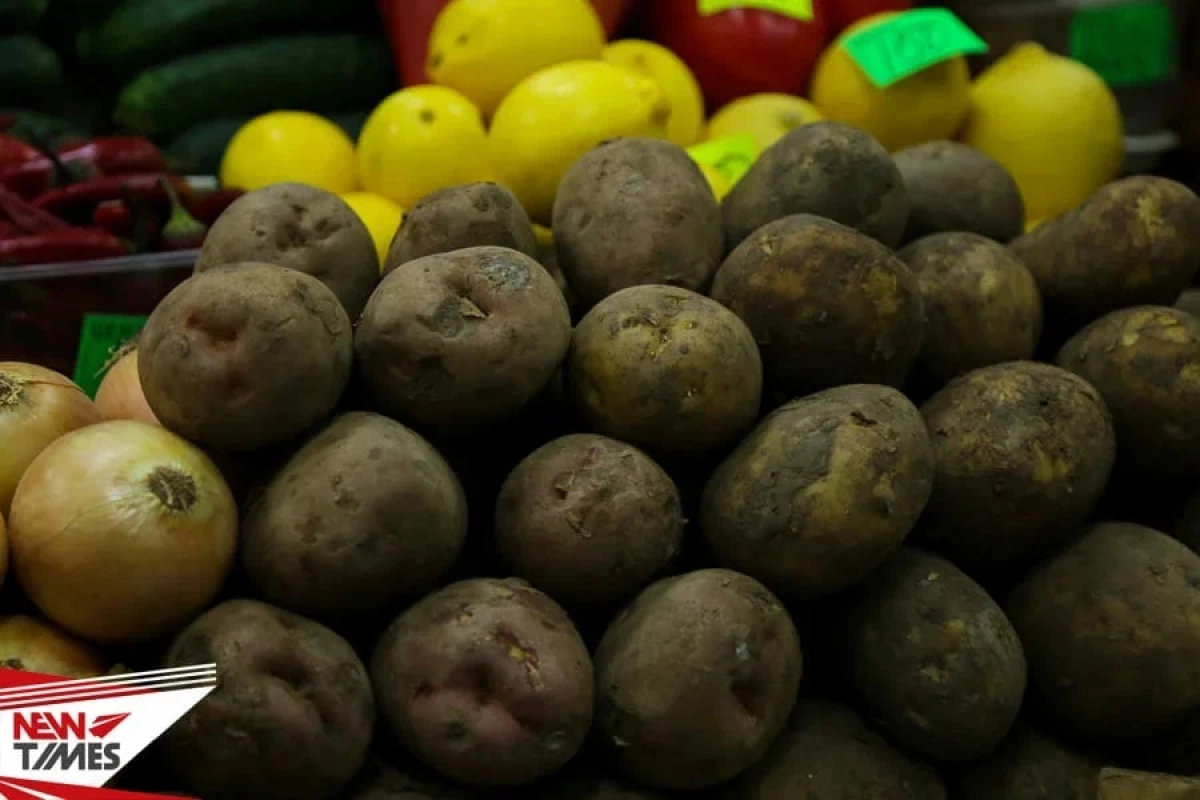 Фото: ИА «NewTimes.kz»