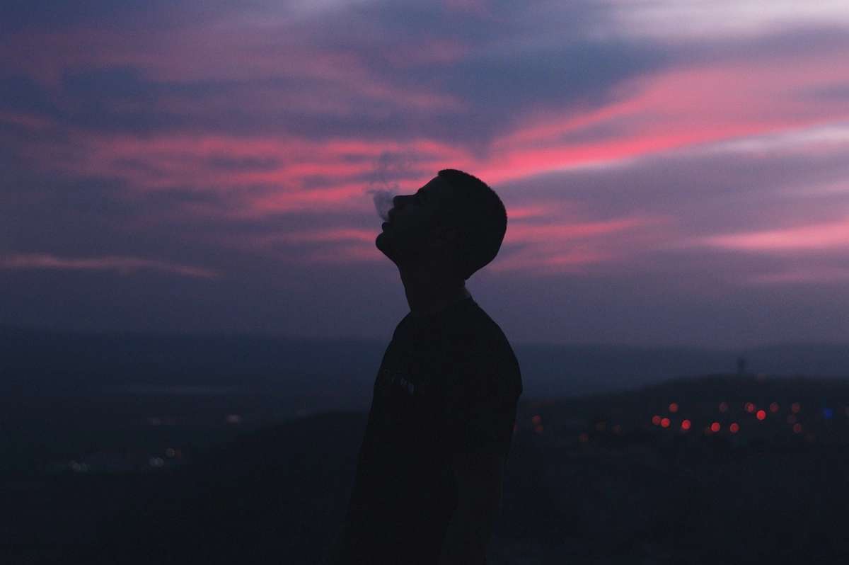 Фото: StockSnap/ pixabay