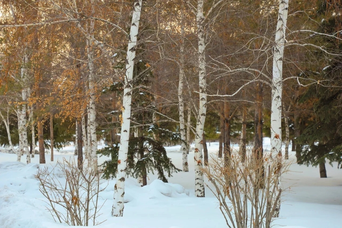 Фото: ИА «NewTimes.kz»