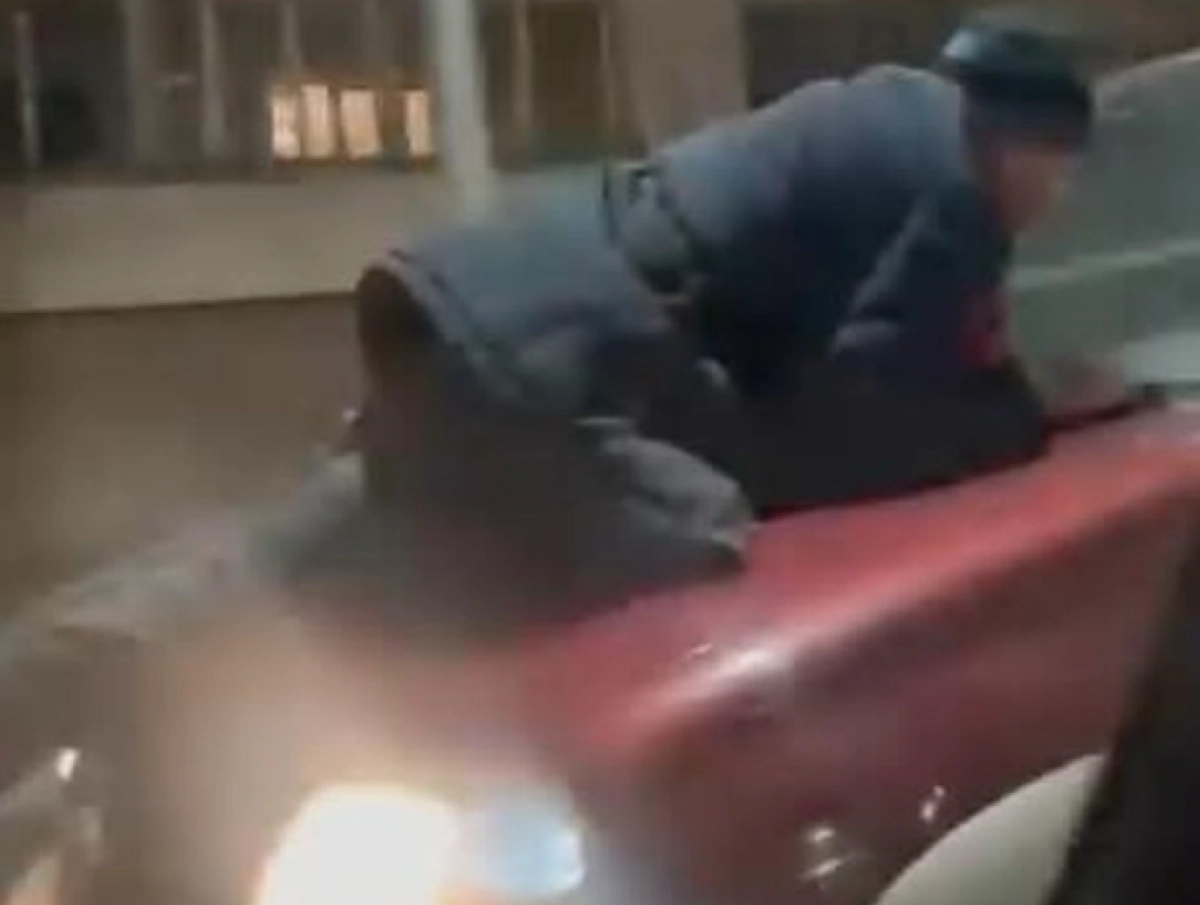 Кадр из видео/ Instagram