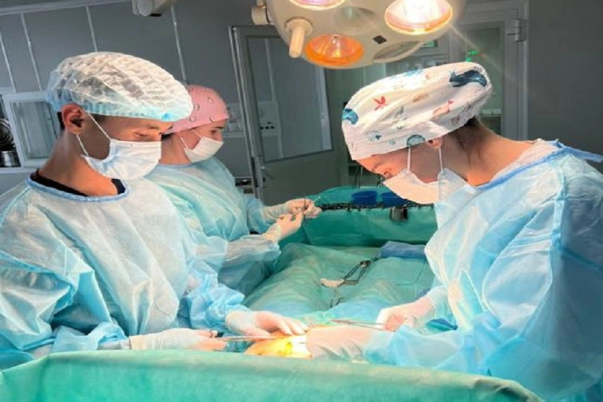 Фото: пресс-служба акима Туркестанской области