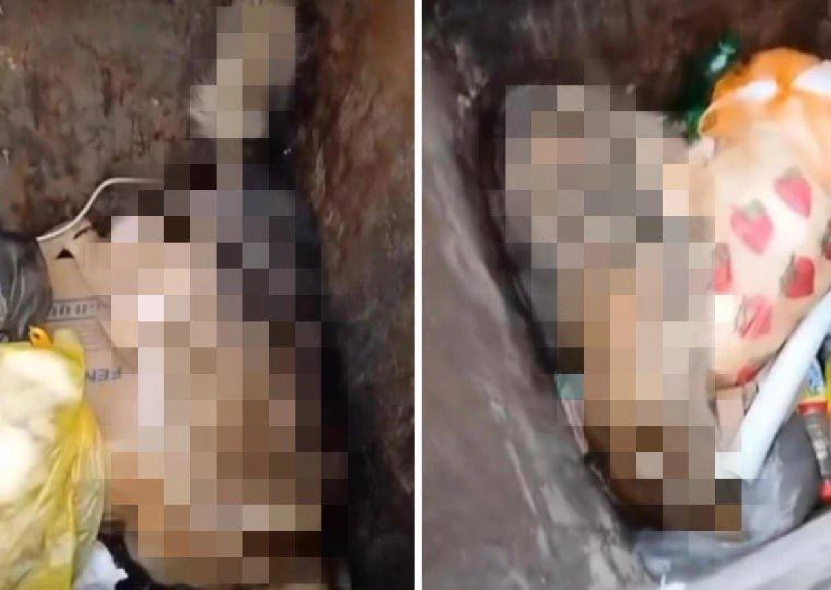 Фото: Кадр из видео