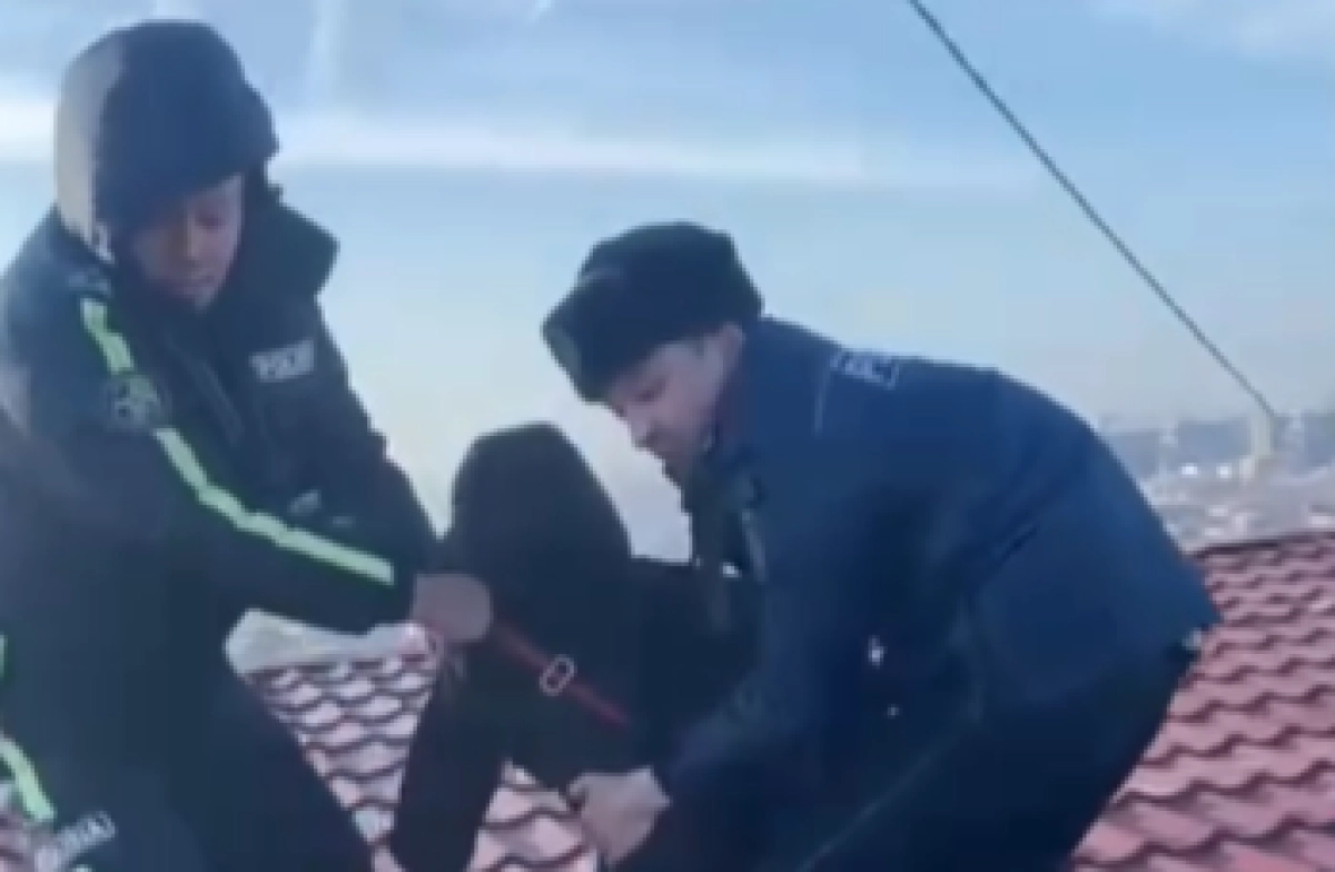 Фото: кадр из видео