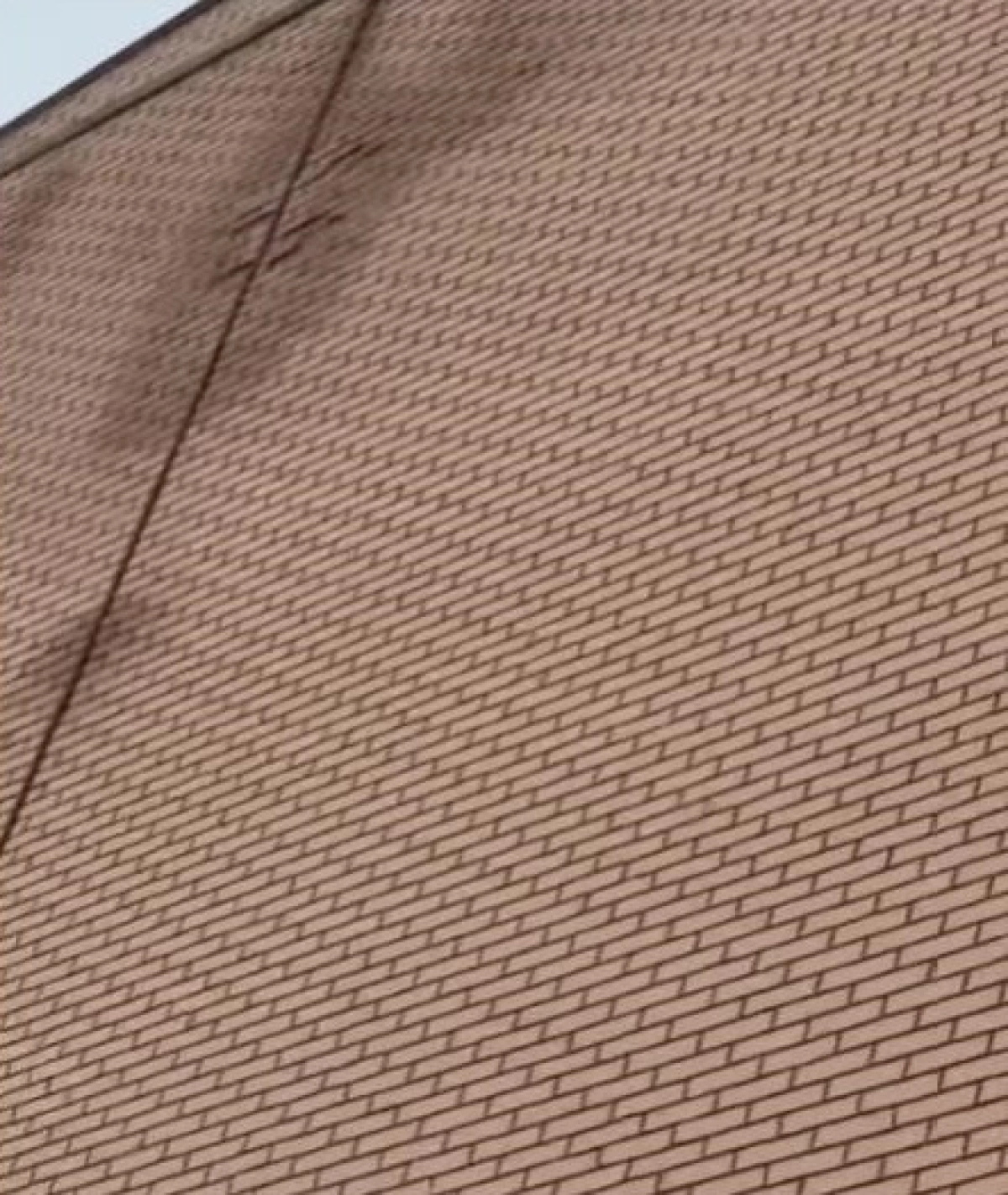 Фото: стопкадр из видео