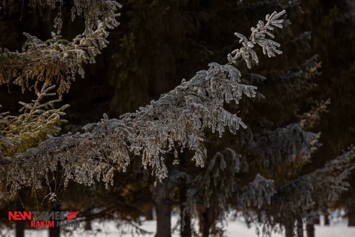 Фото: ИА «NewTimes.kz»