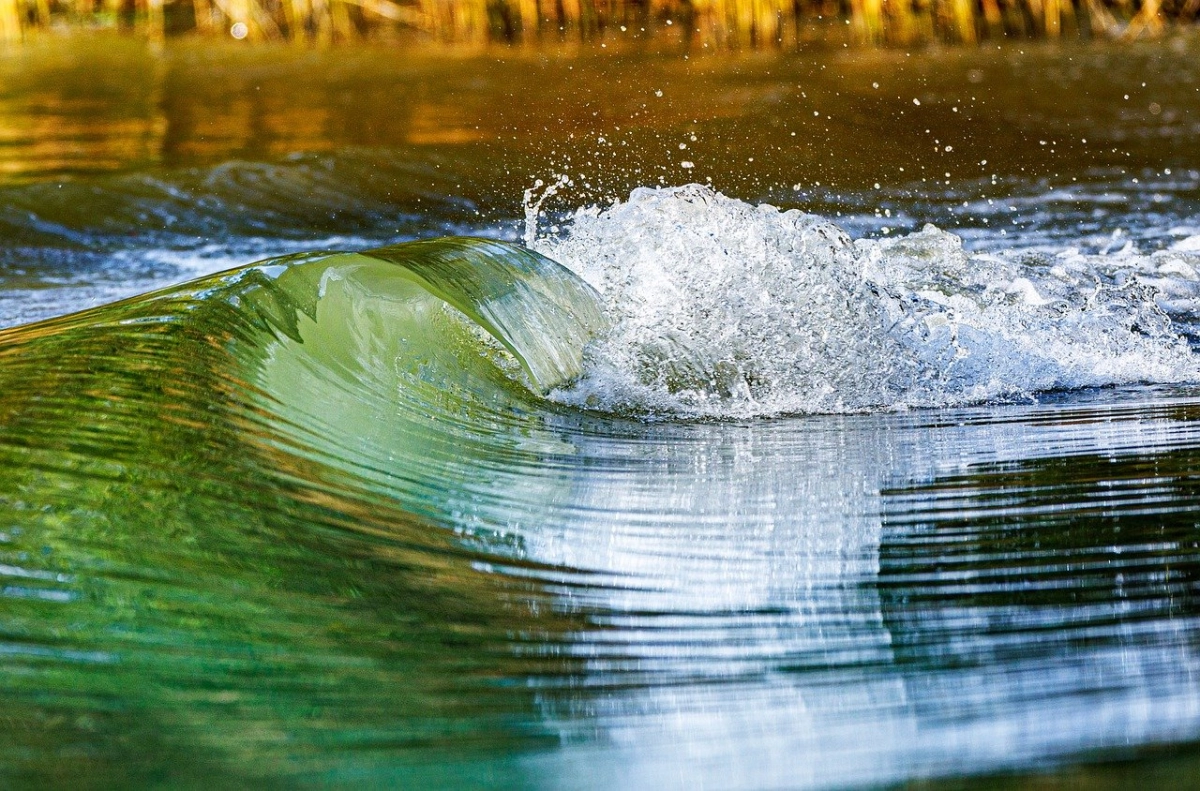 фото: pixabay