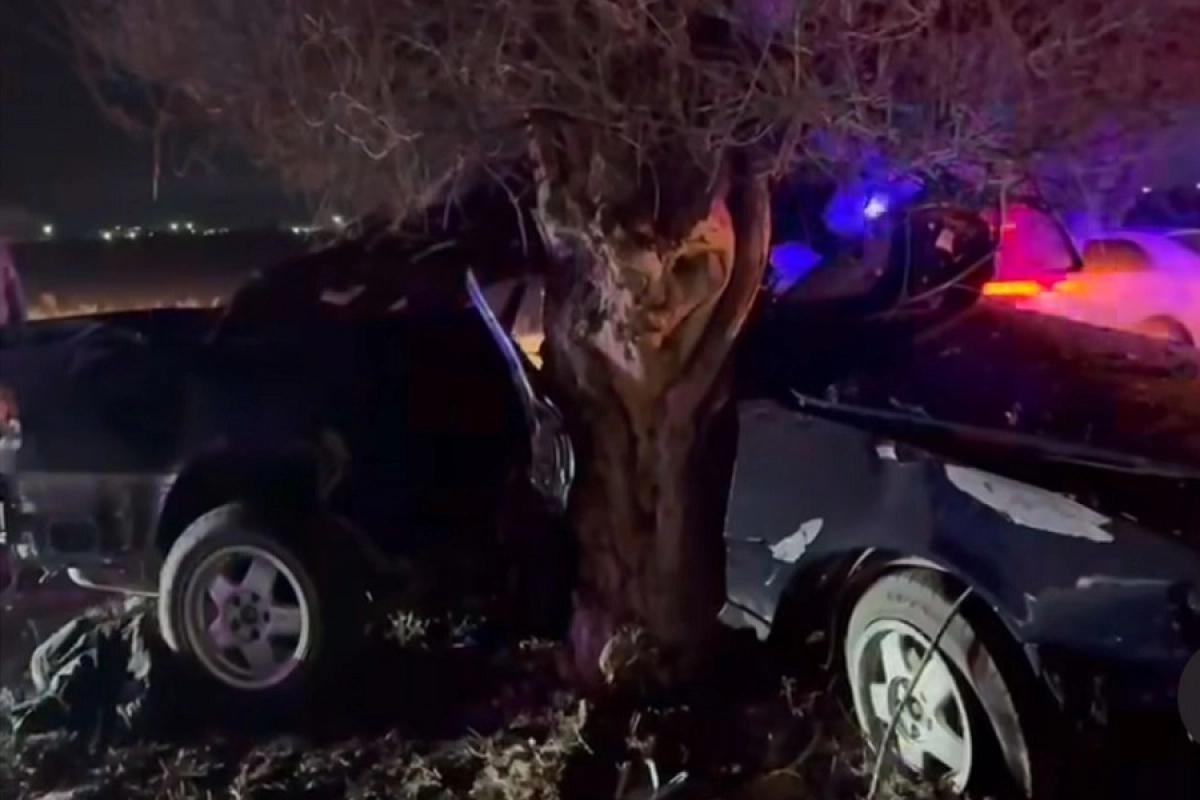 Фото: скриншот видео