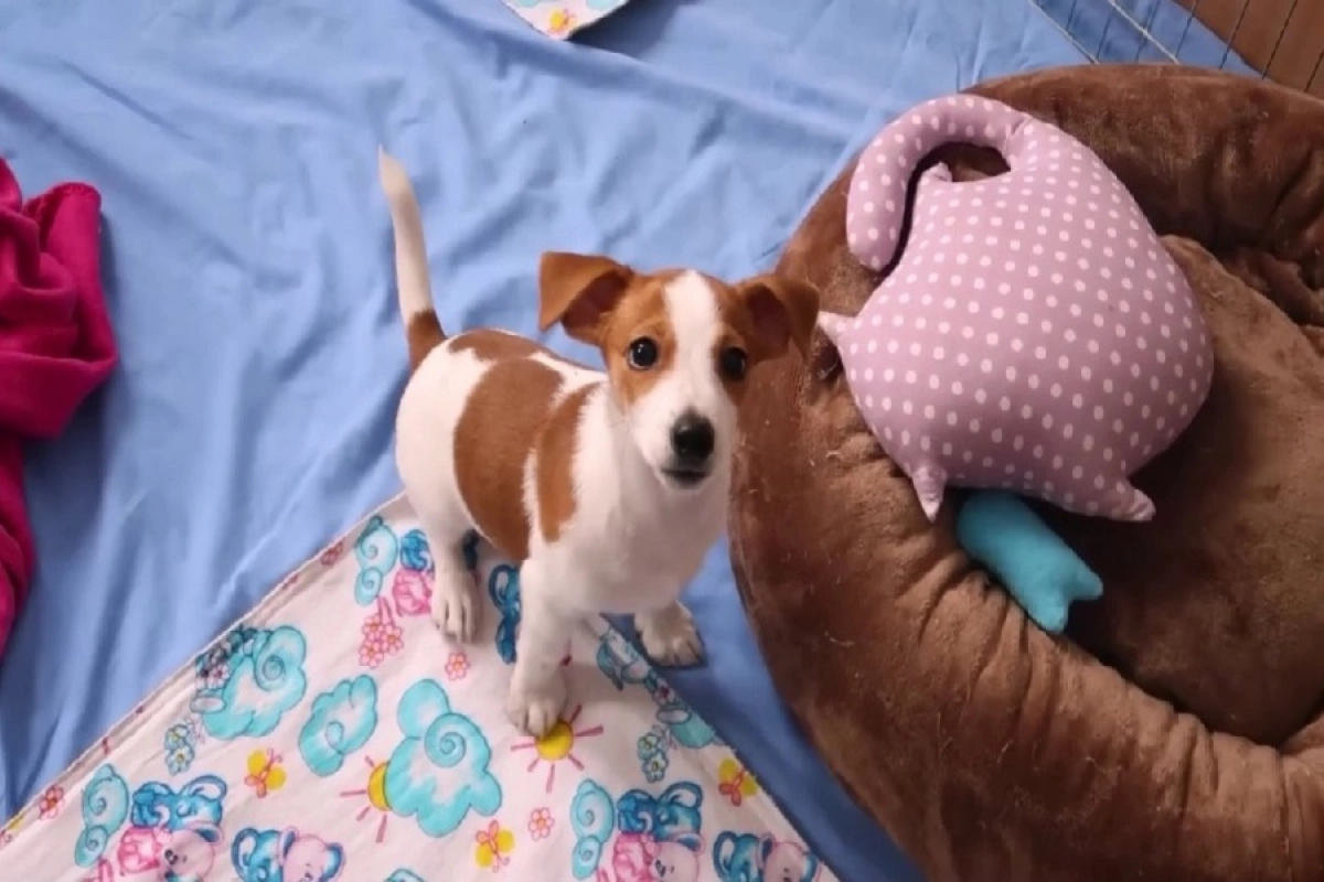 Фото: astanatv.kz