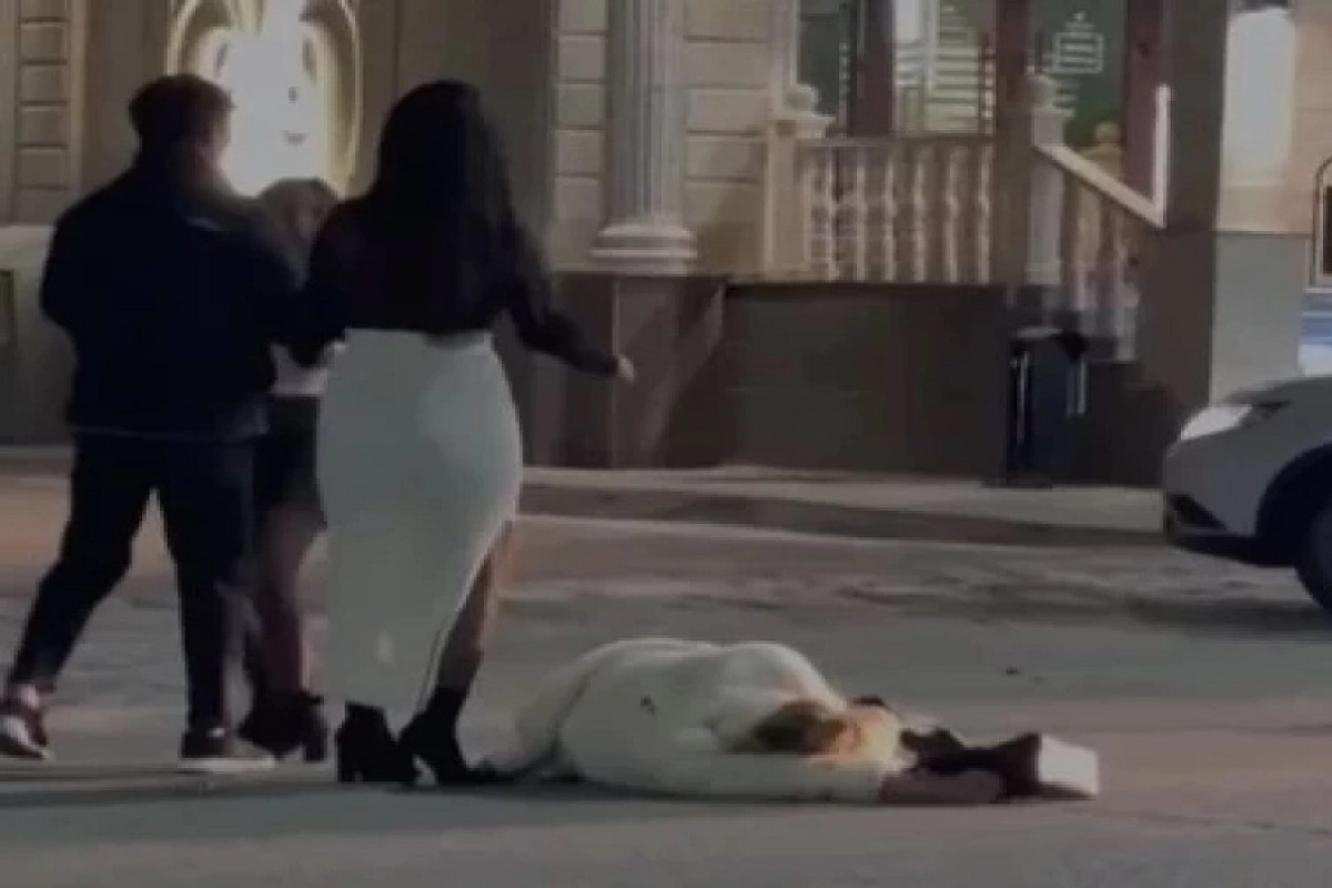 Фото: скриншот видео