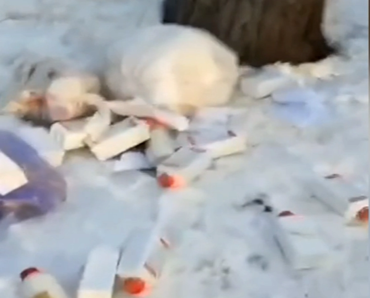 Кадр из видео/ КТК