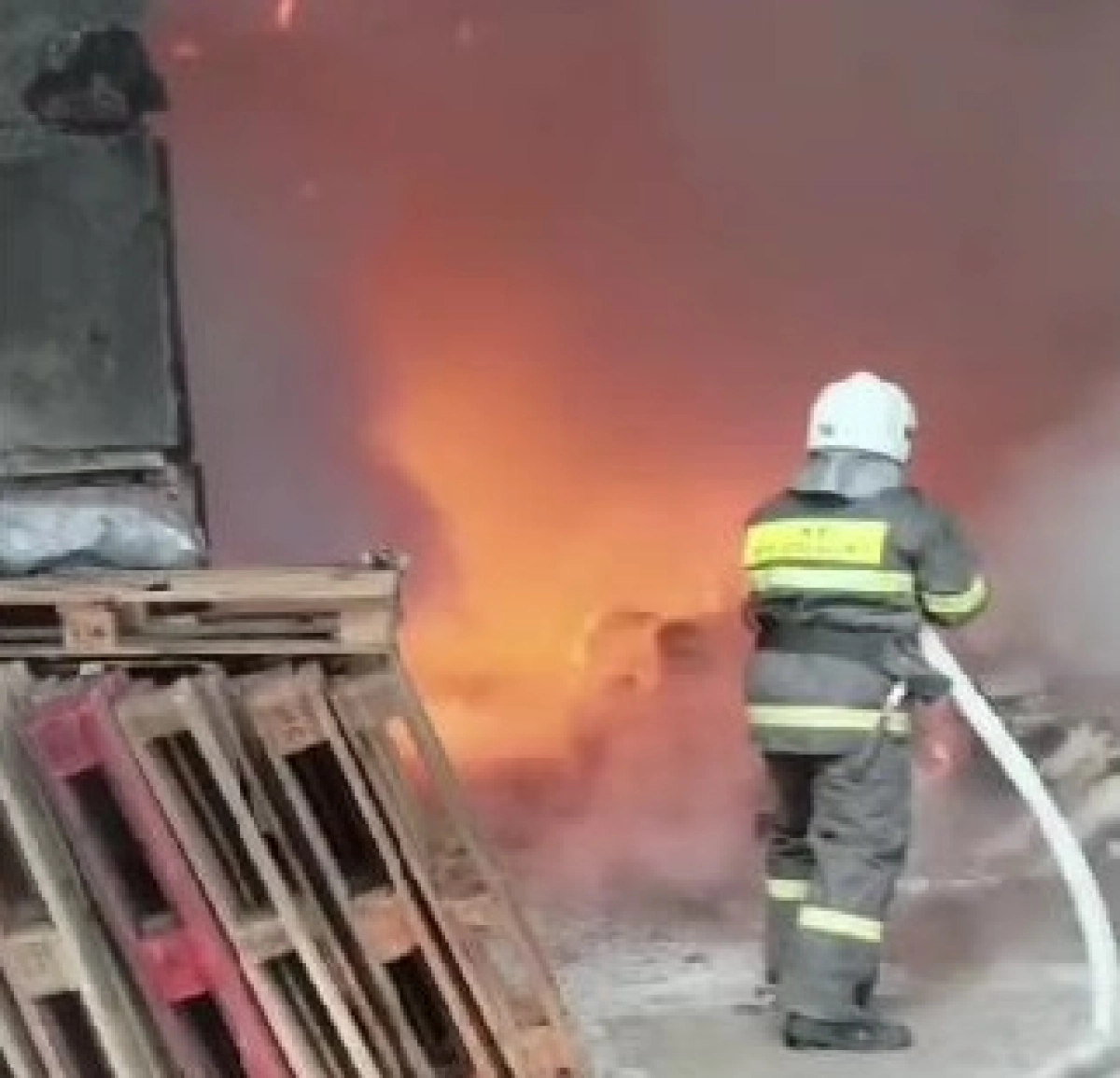 Фото: стопкадр из видео