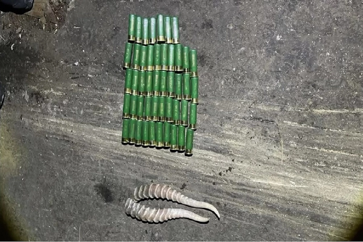 Фото: astanatv.kz