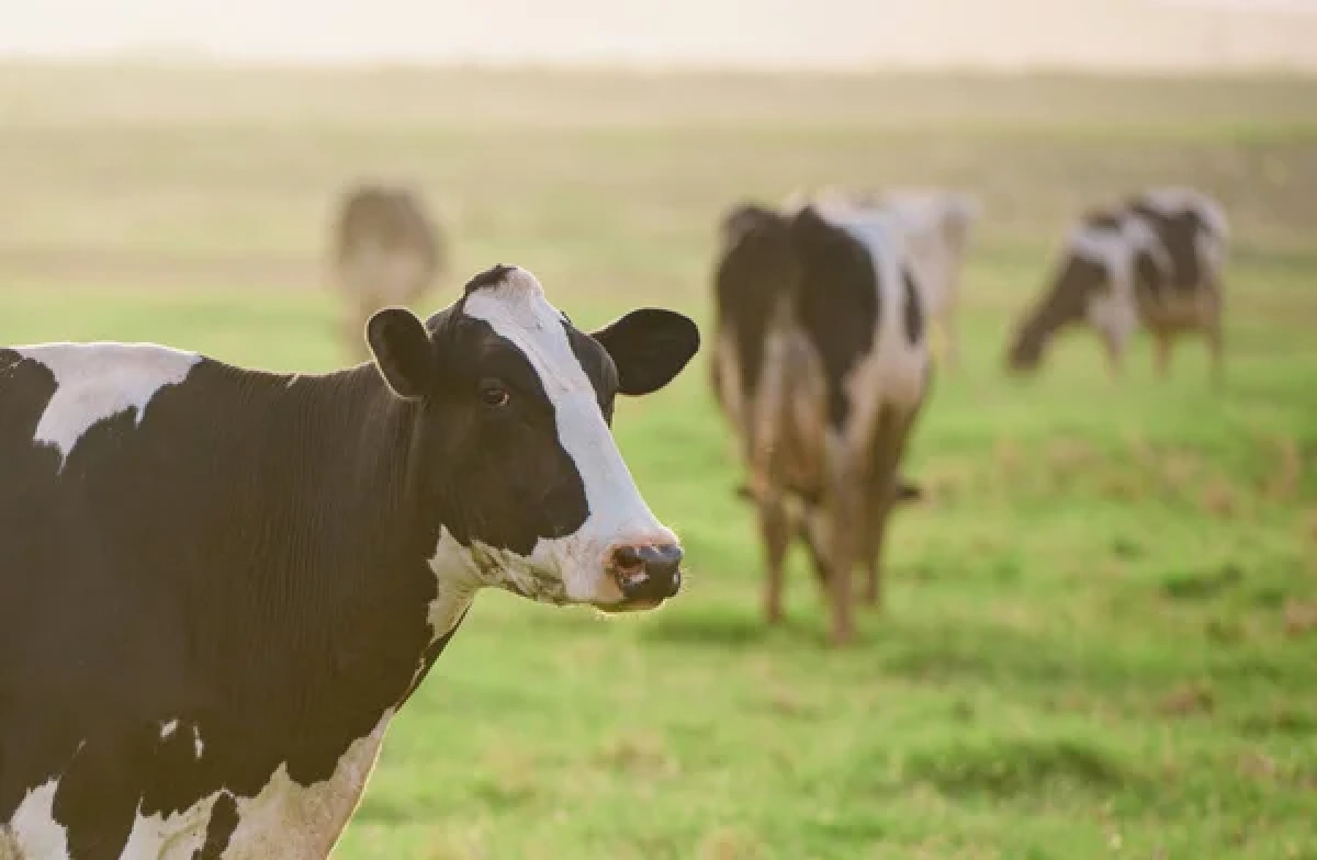 Фото: depositphotos