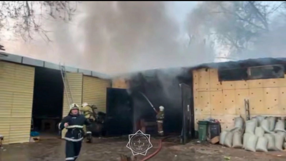 Фото: кадр из видео