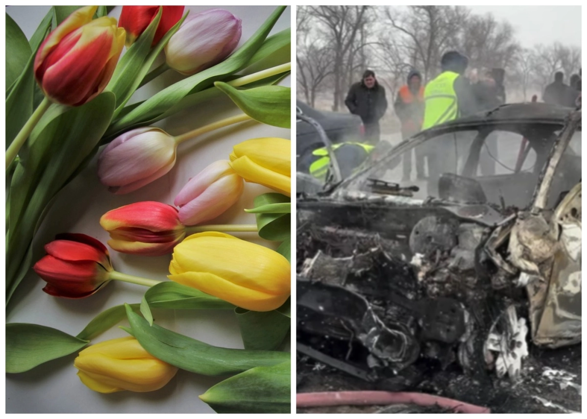 Коллаж ИА «NewTimes.kz»