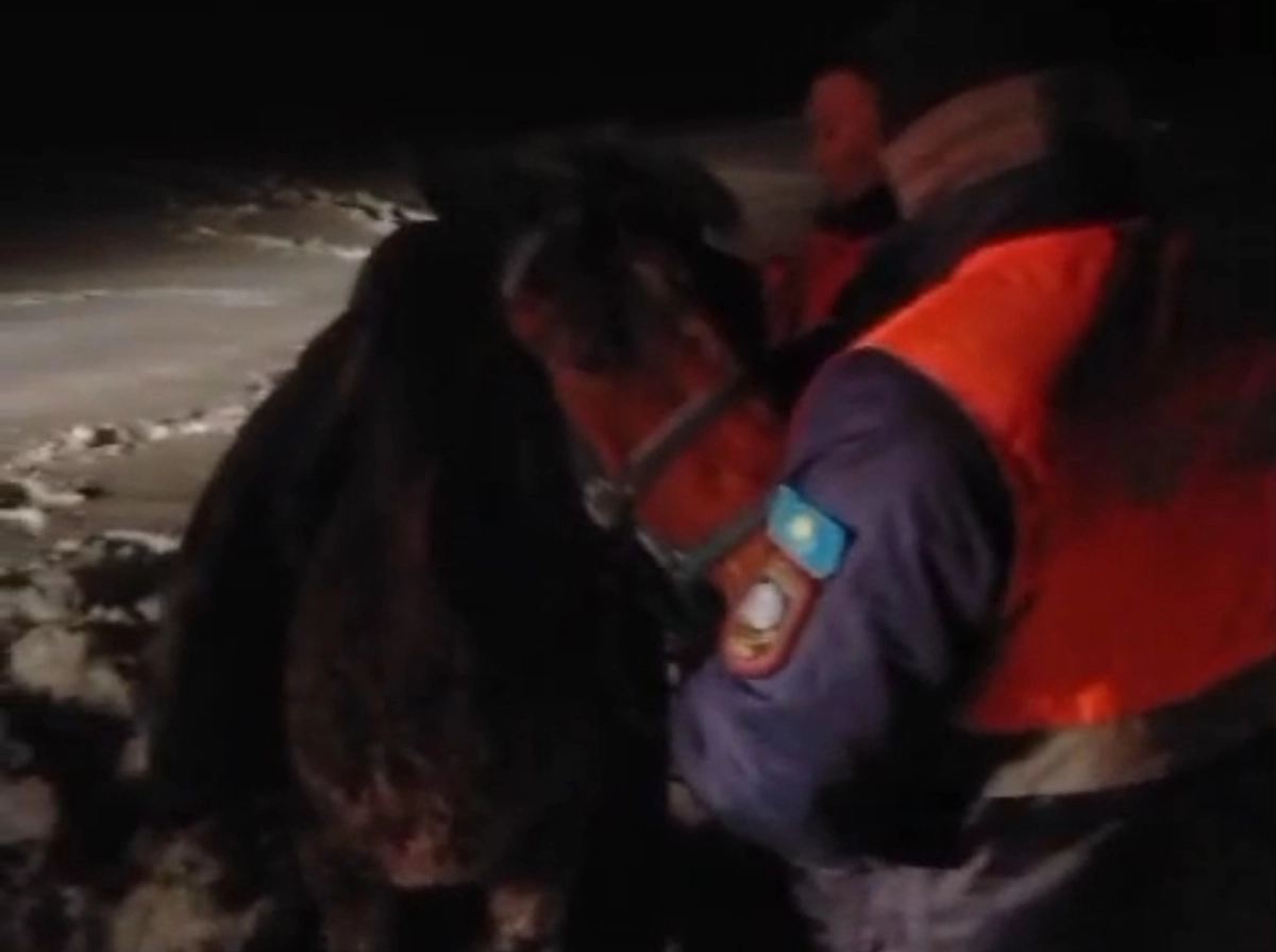 Фото: кадр из видео