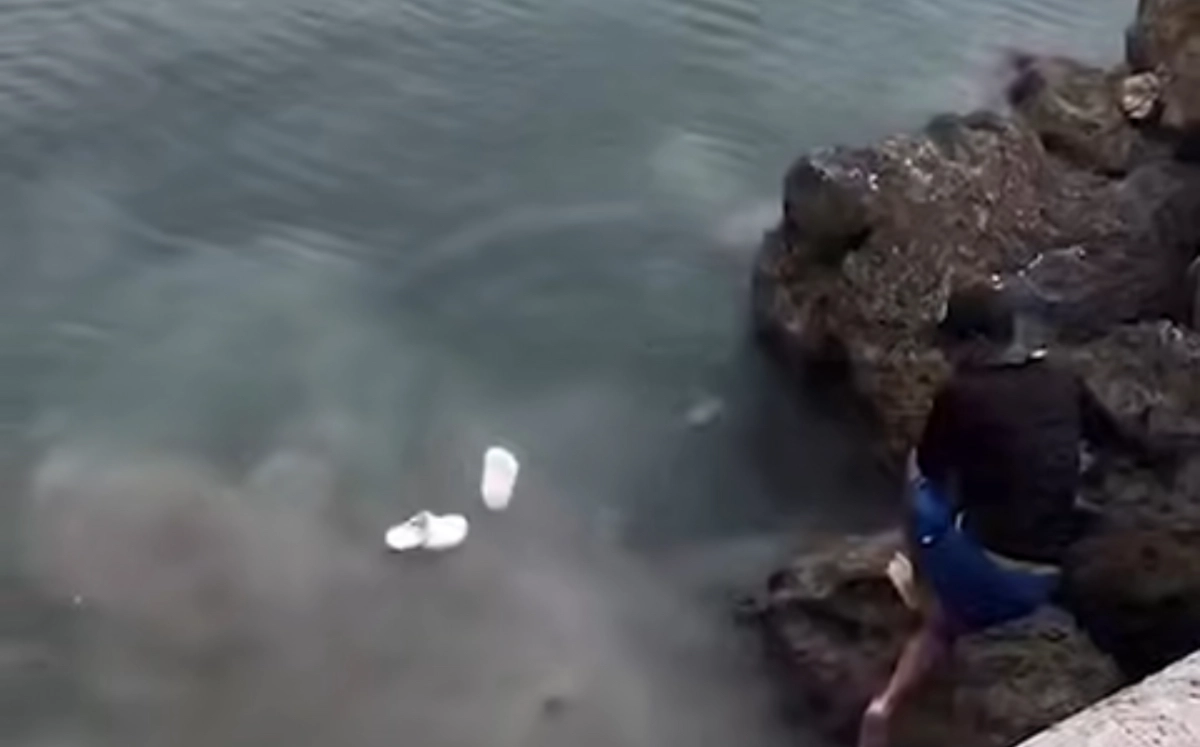 Фото: кадр из видео