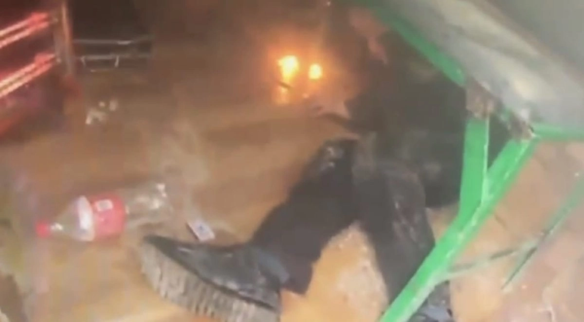 Фото: скриншот видео