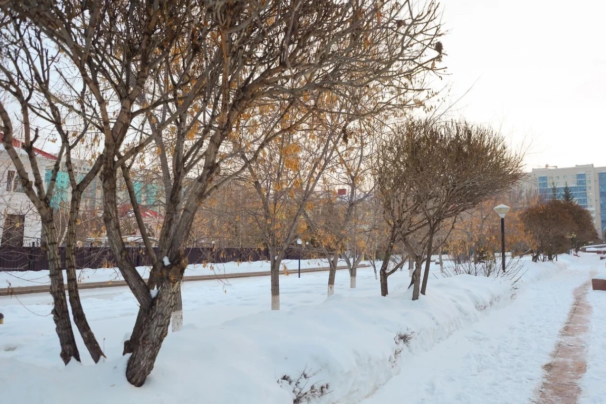 Фото: ИА «NewTimes.kz»