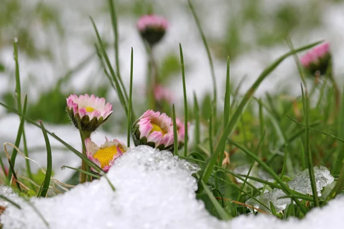 Фото: depositphotos