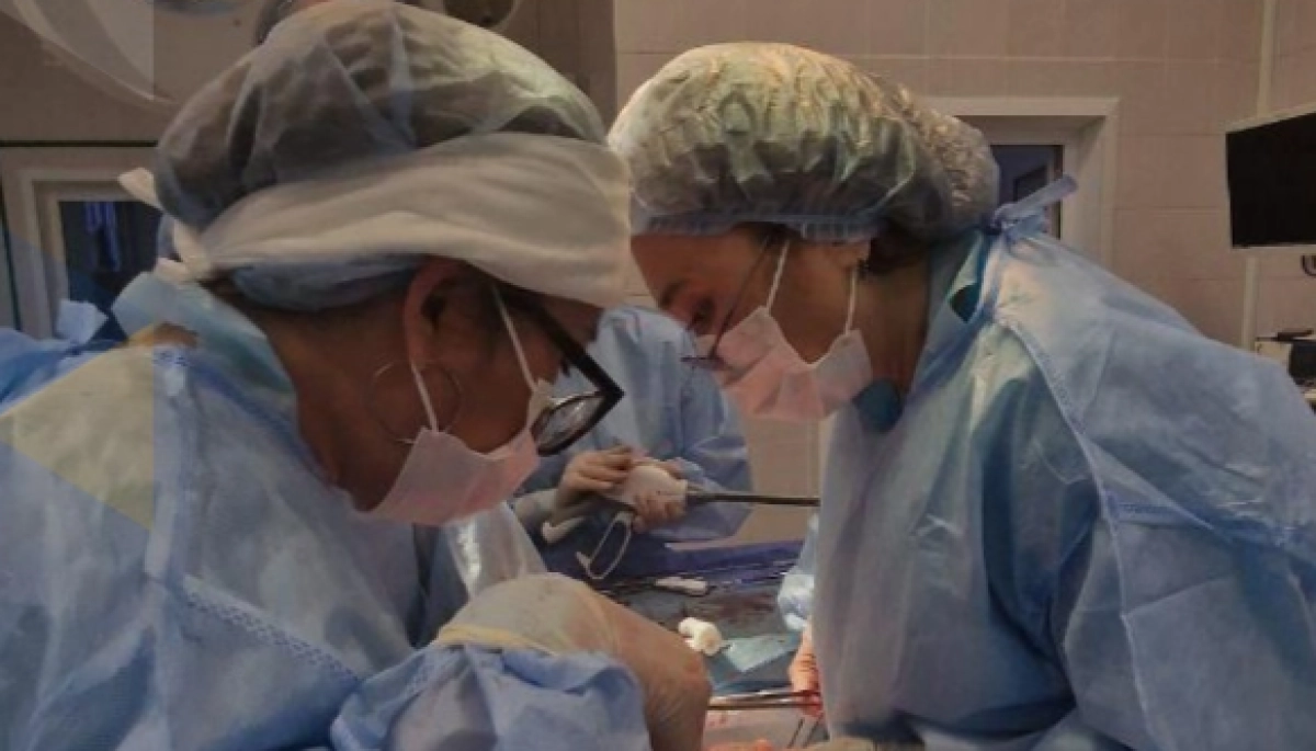 Фото: пресс-служба Минздрава РК