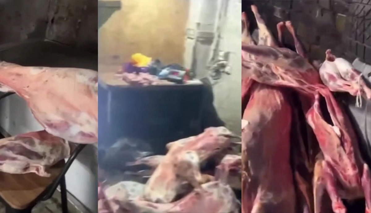 Фото: скрин из видео