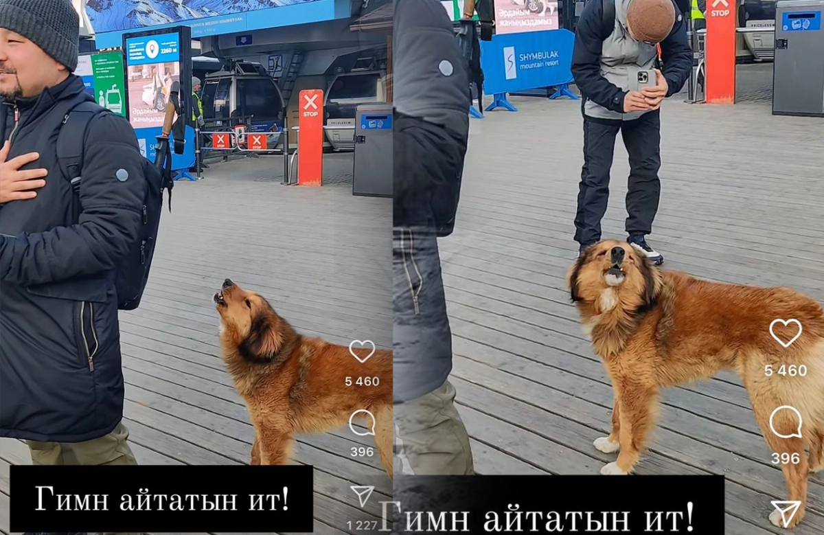 Фото: скрин из видео