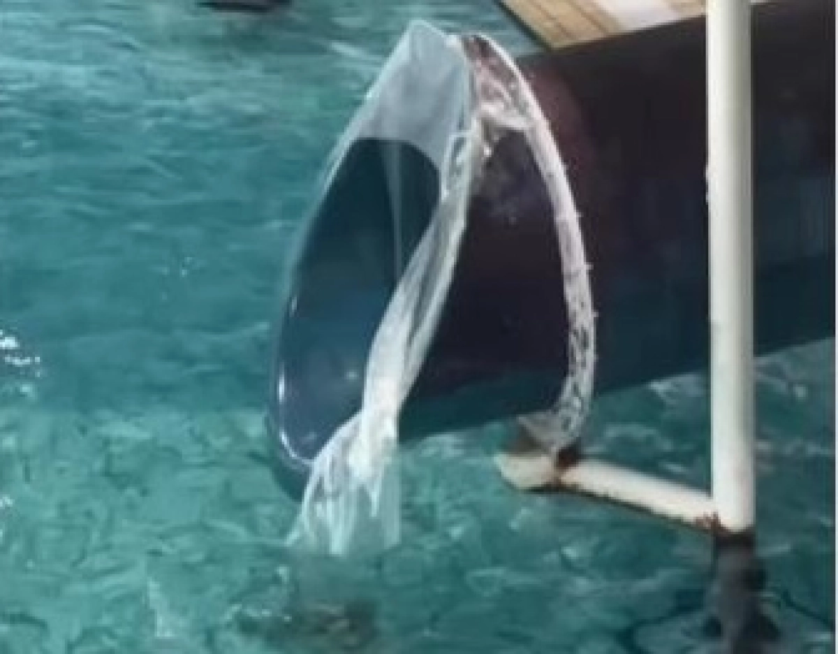 Фото: кадр видео