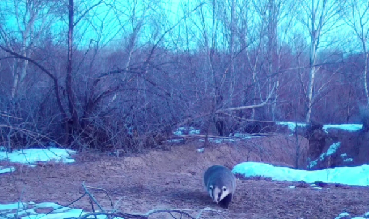 Фото: кадр из видео