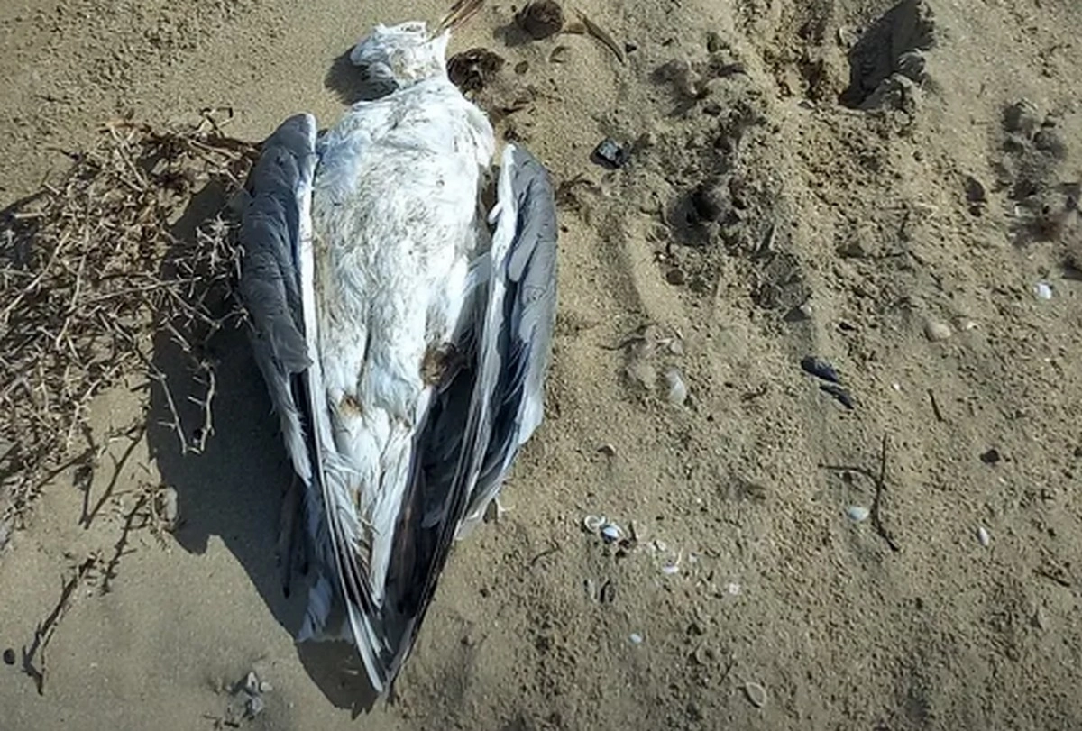 Фото: местных жителей