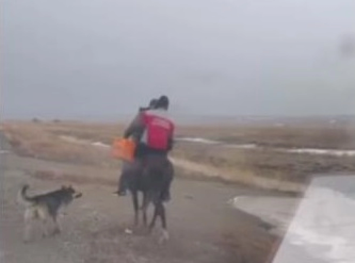 Фото: стопкадр из видео