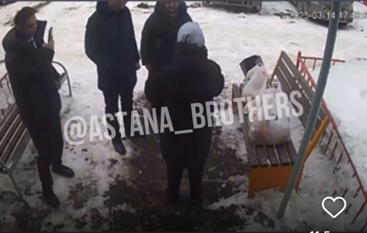 Фото: скрин из видео