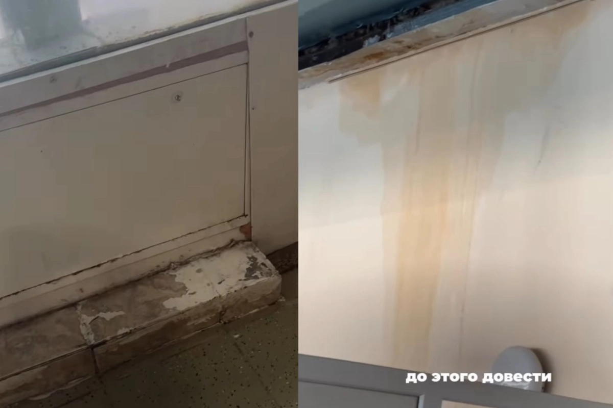 Фото: скрин из видео