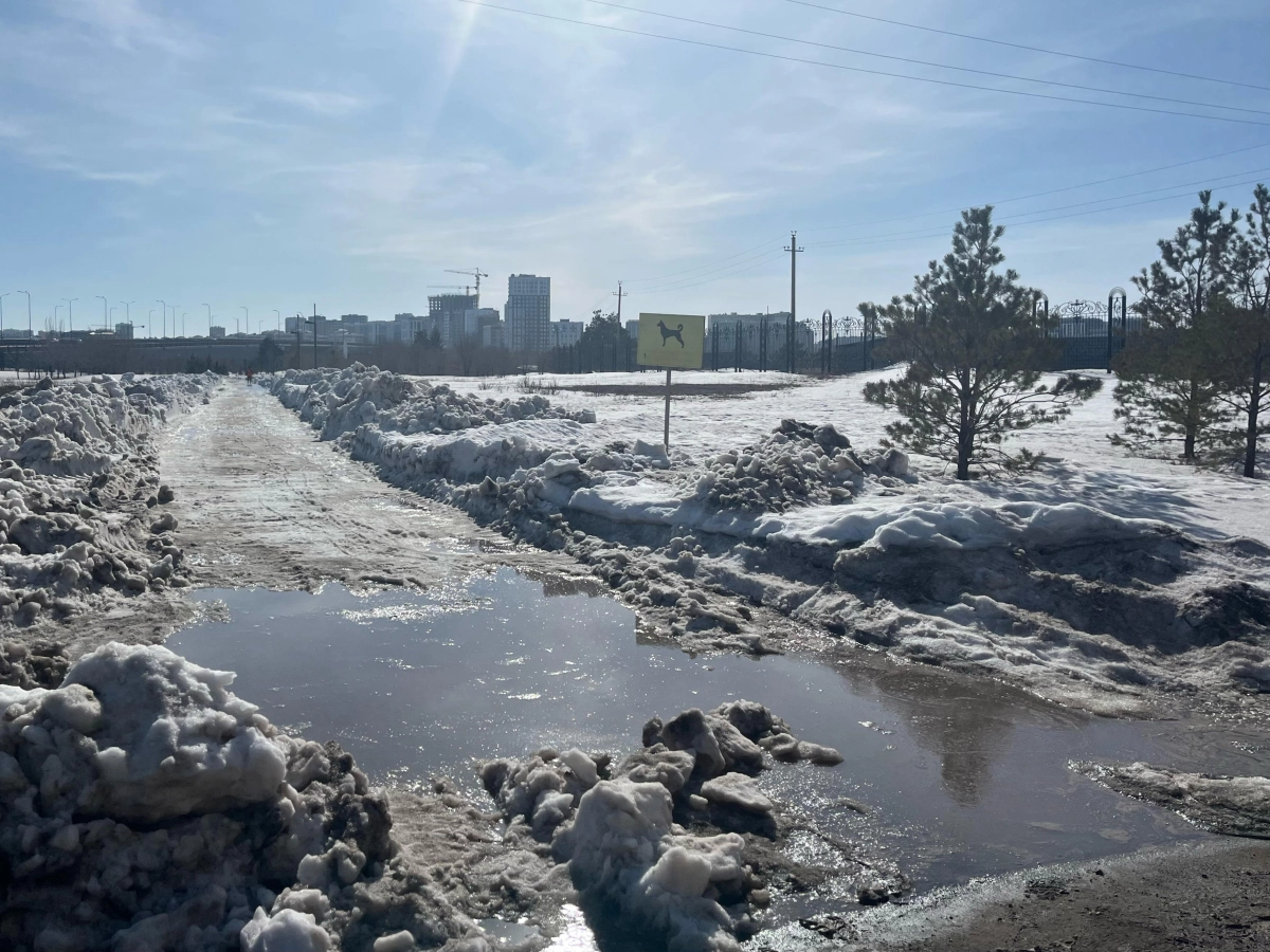 Фото: newtimes.kz