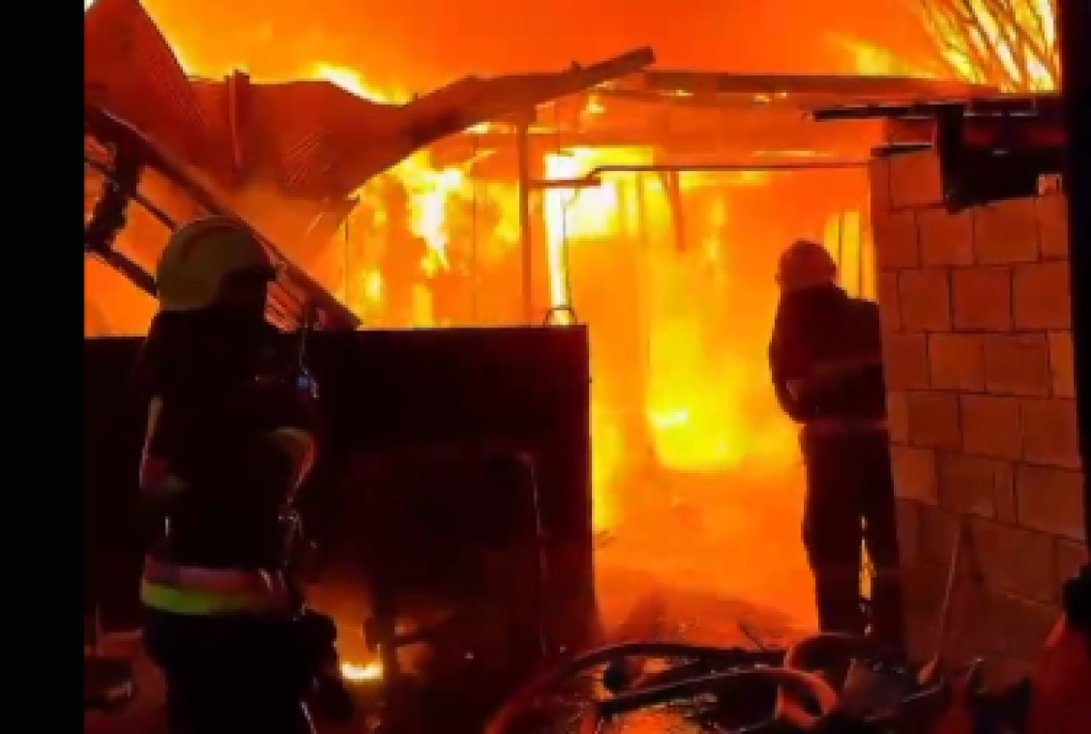 Фото: кадр из видео