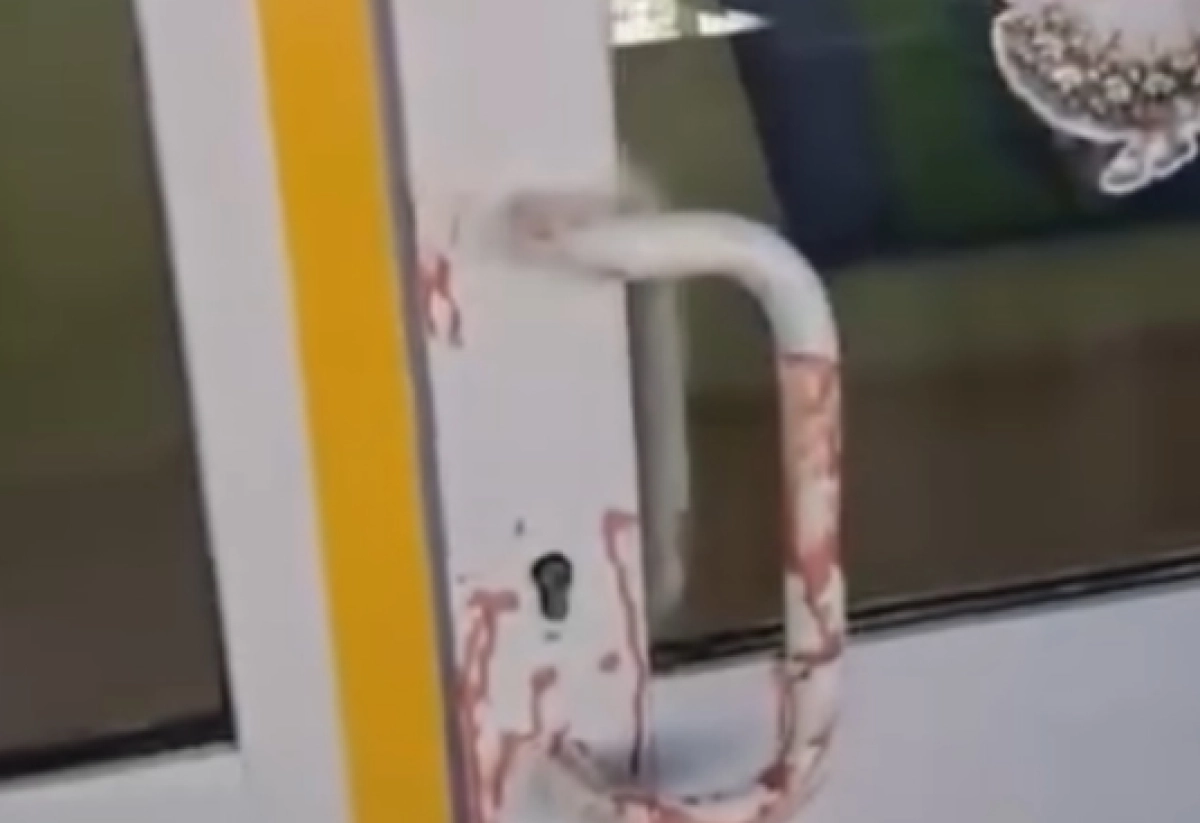 Фото: кадр из видео