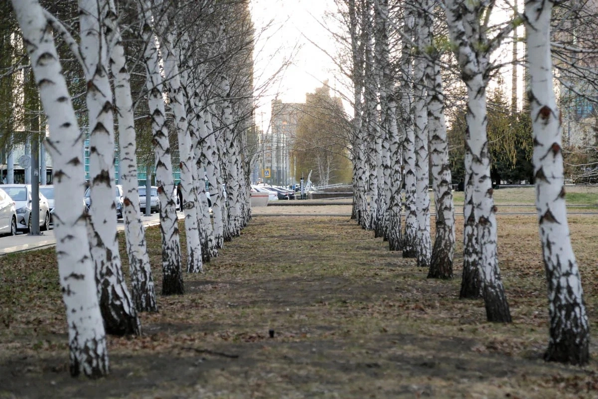 Фото: ИА «NewTimes.kz»